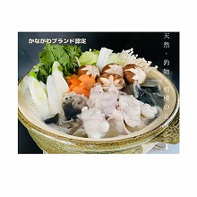 天然・釣物　相模のとらふぐ 鍋用 800g 4～5人前　(冷凍)